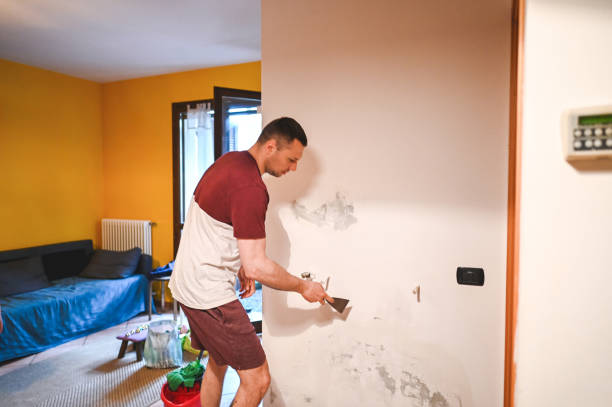 Best Same-Day Mold Removal  in Brazoria, TX